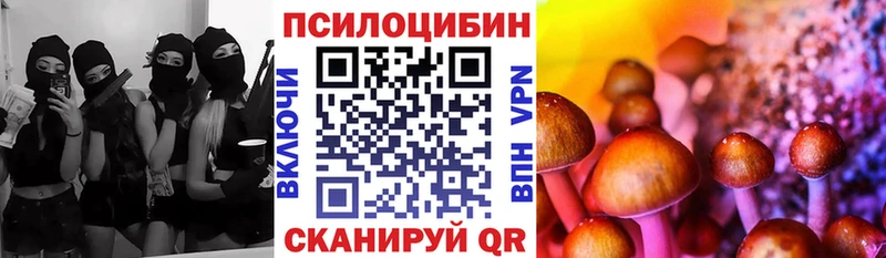 где купить   Нолинск  Галлюциногенные грибы Psilocybe 